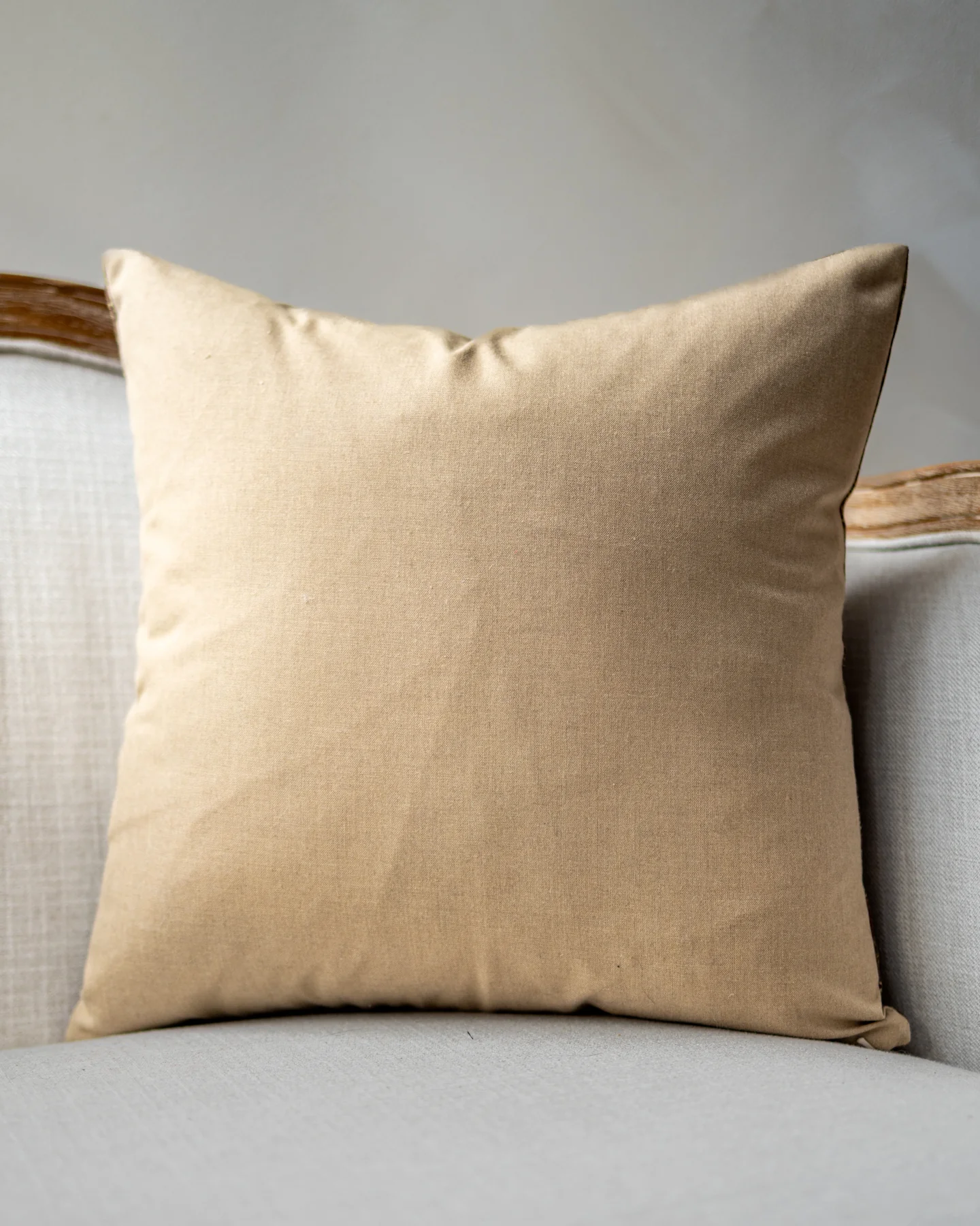 Alice Neutral Paisley Throw Pillow - Image 3