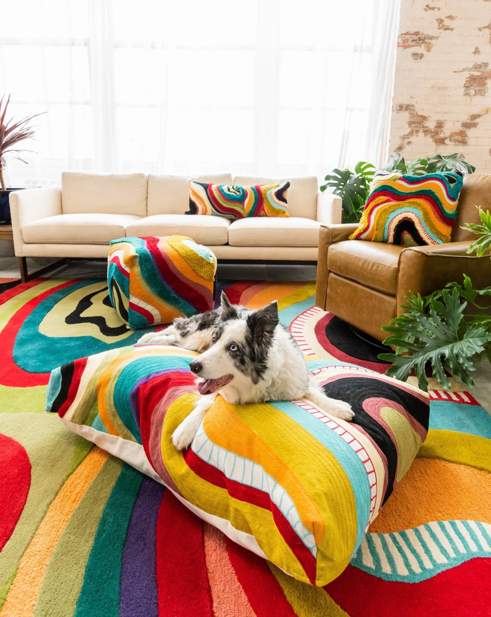 Echo Bundle: Square Pillow, Lumbar Pillow, Rug, Pouf - Image 6