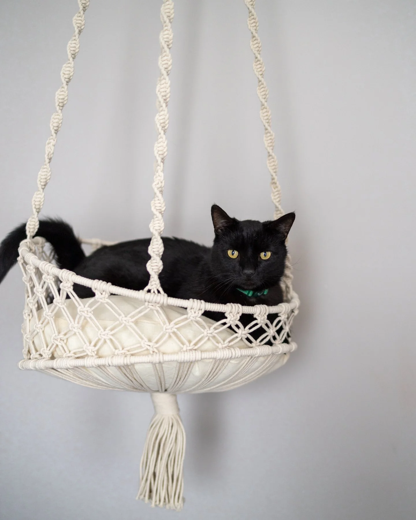 Milo Hanging Handmade Macrame Cat Bed - Image 4