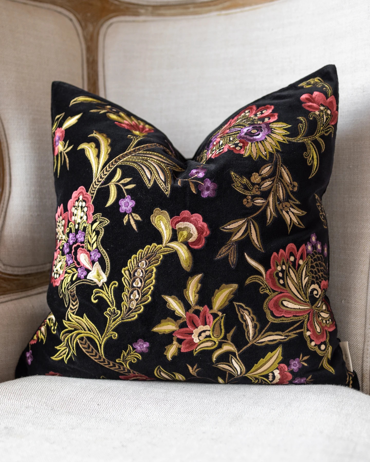 Monica Organic Cotton Velvet Throw Pillow