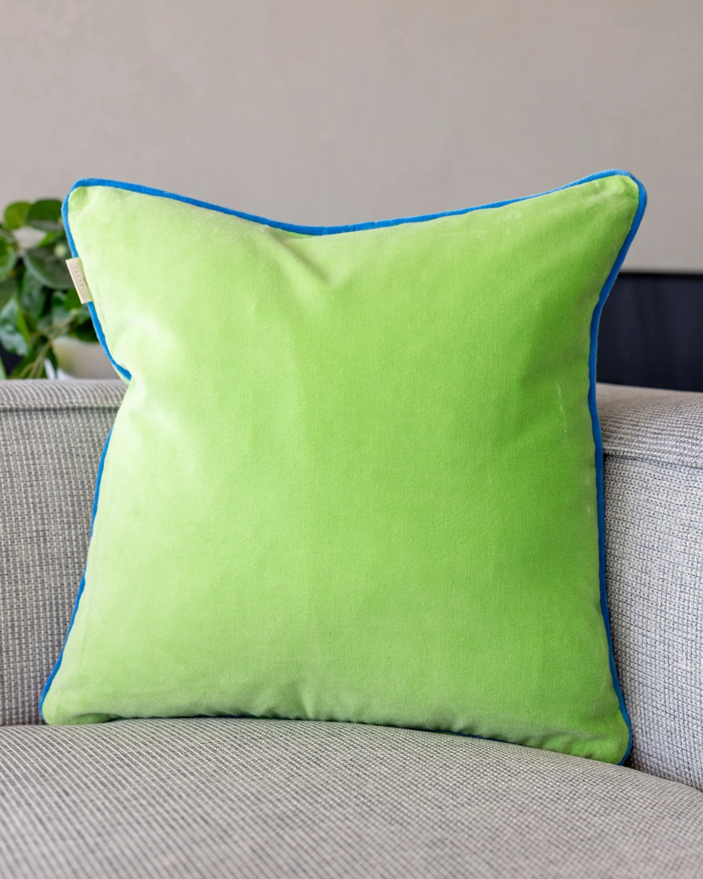 Olivia Organic Cotton Velvet Throw Pillow