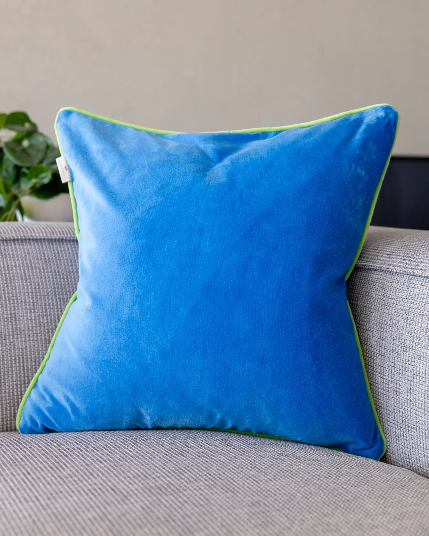 Olivia Organic Cotton Velvet Throw Pillow - Image 2