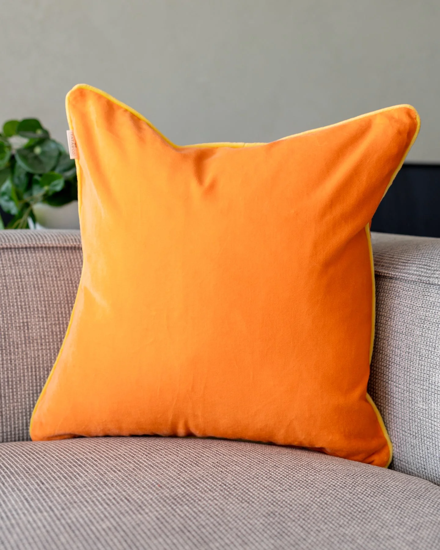 Olivia Organic Cotton Velvet Throw Pillow - Image 3