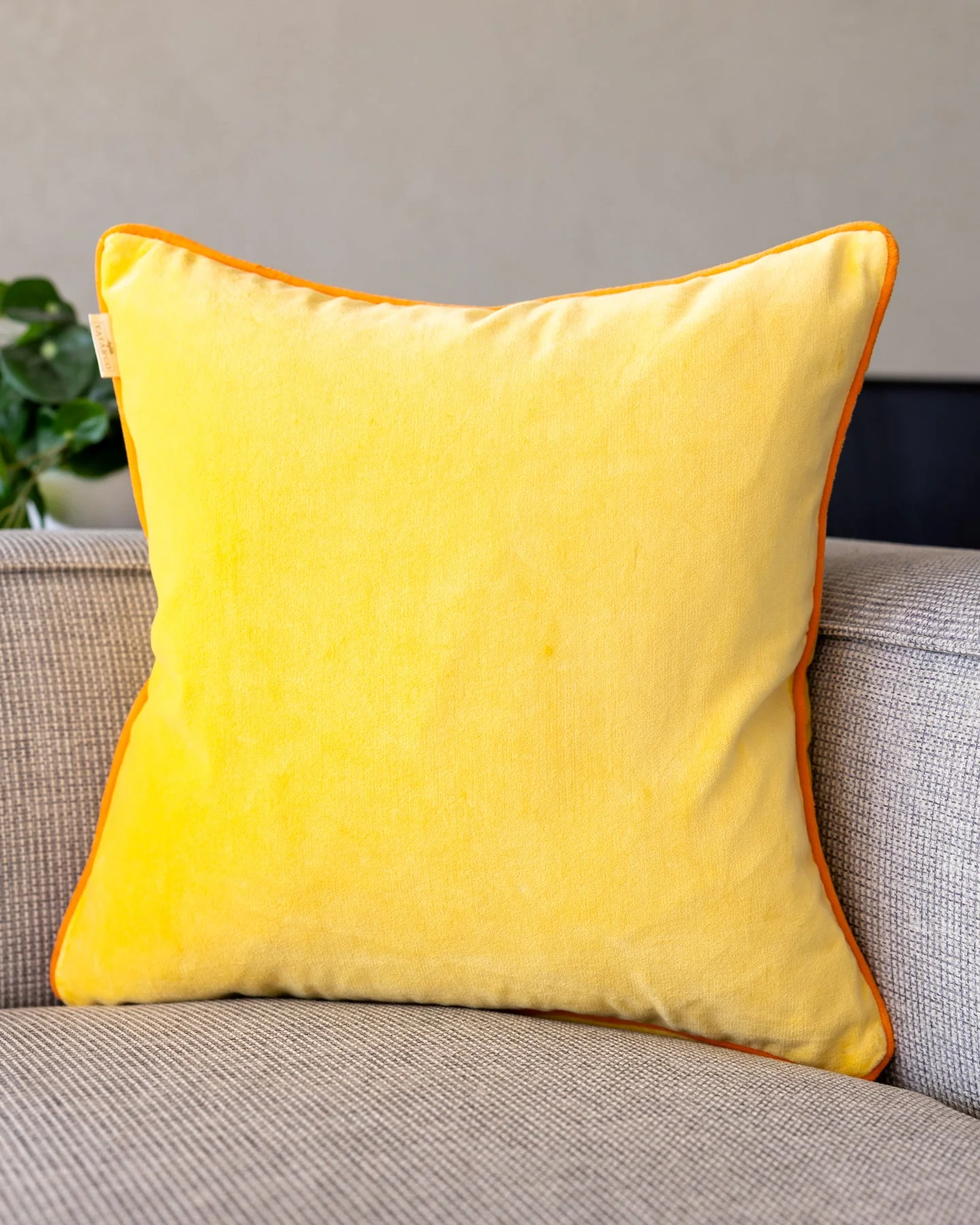 Olivia Organic Cotton Velvet Throw Pillow - Image 4
