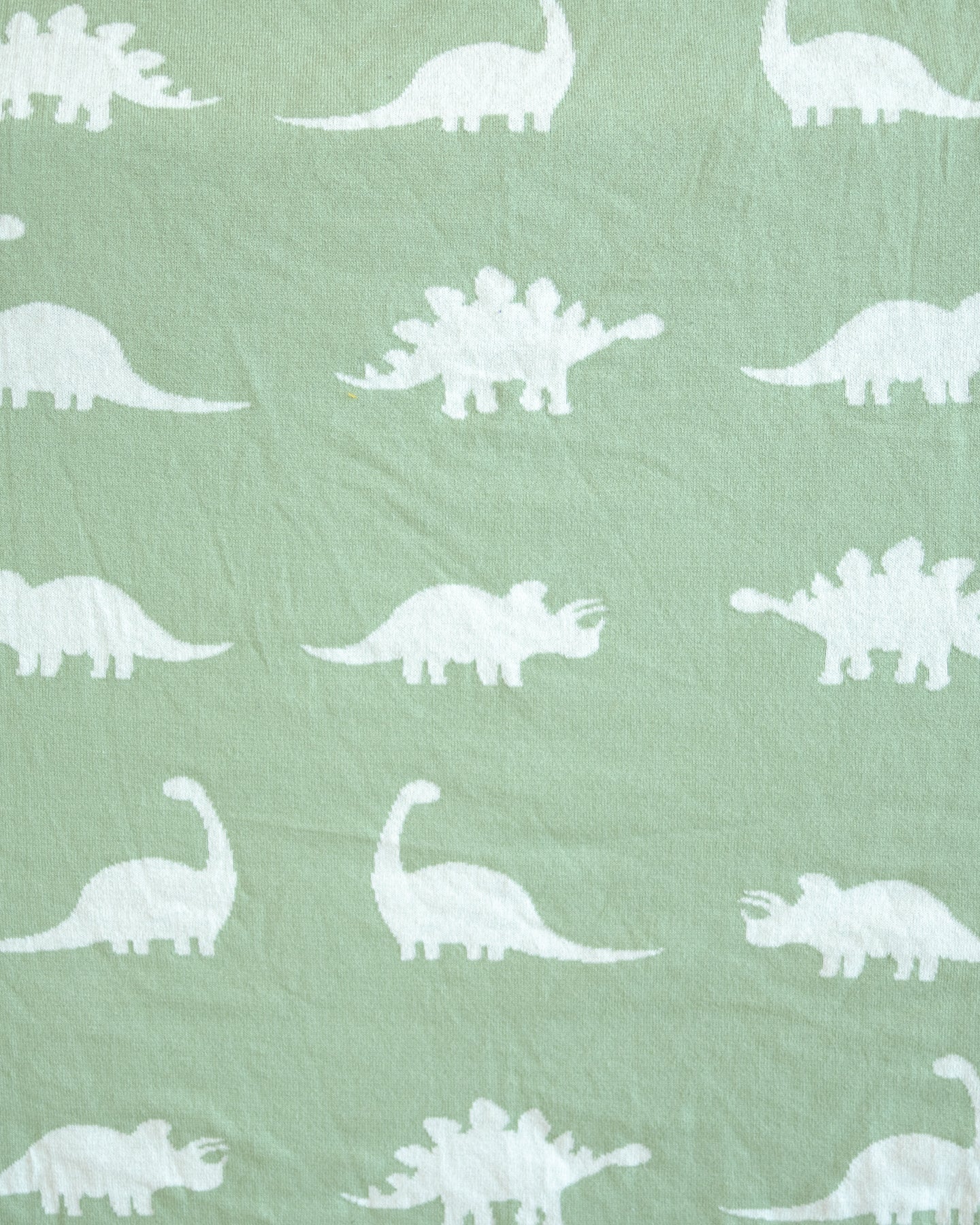 Ty Dinosaur Baby and Kids Throw Blanket - Image 2
