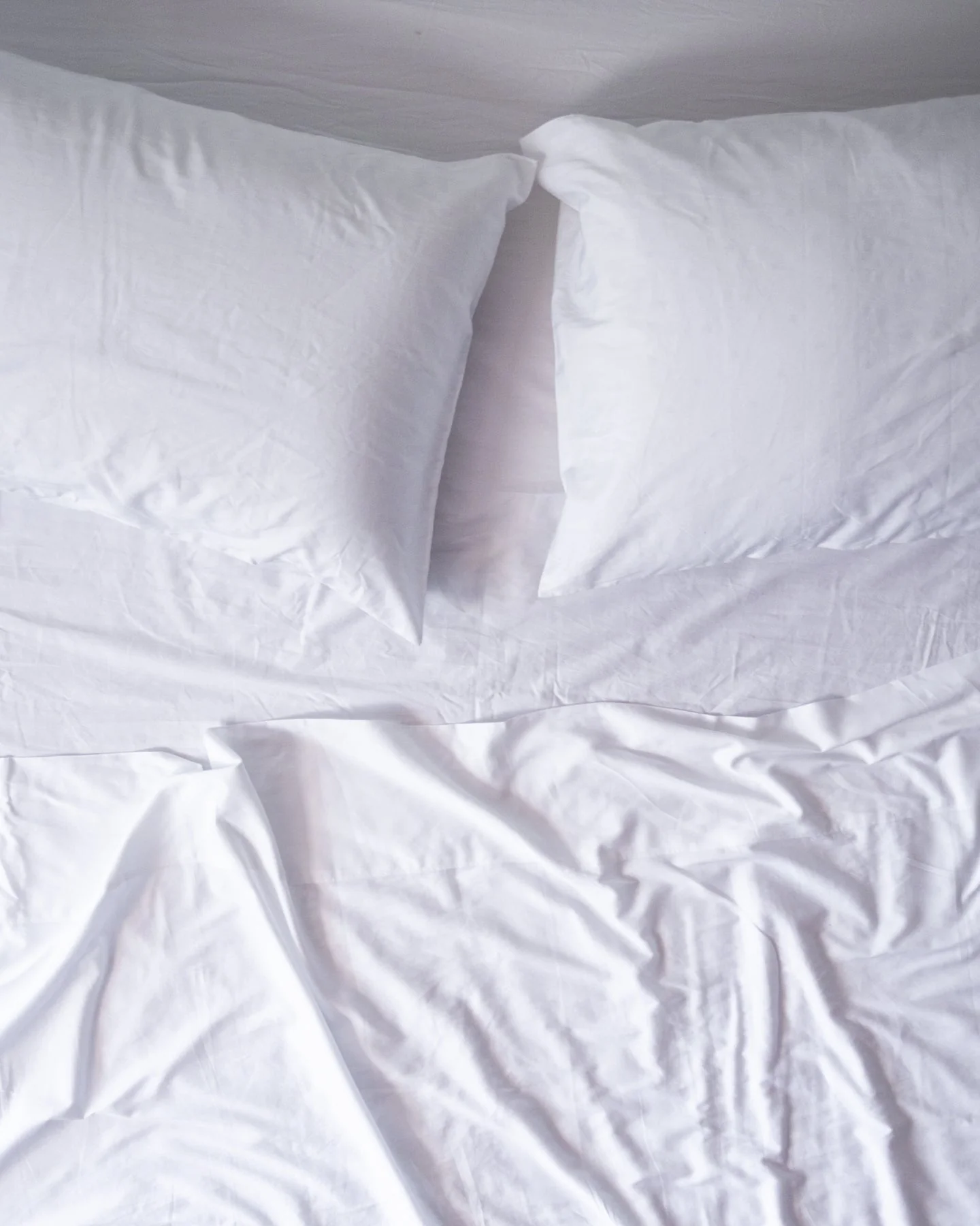 Willow Organic Cotton Percale Pillowcase Set - 300 TC - Image 3